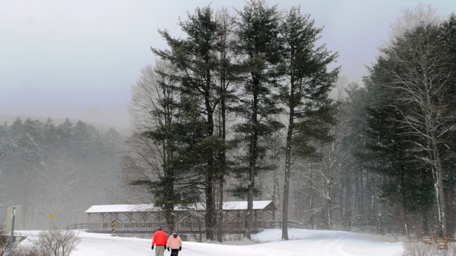 Winter hiking at Allegany State Park