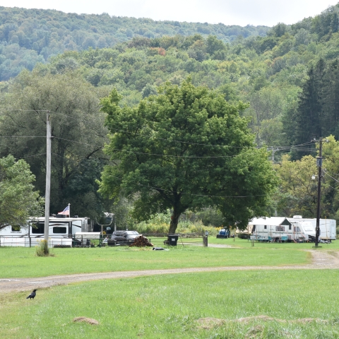 Campers at Little Valley Rider's Club