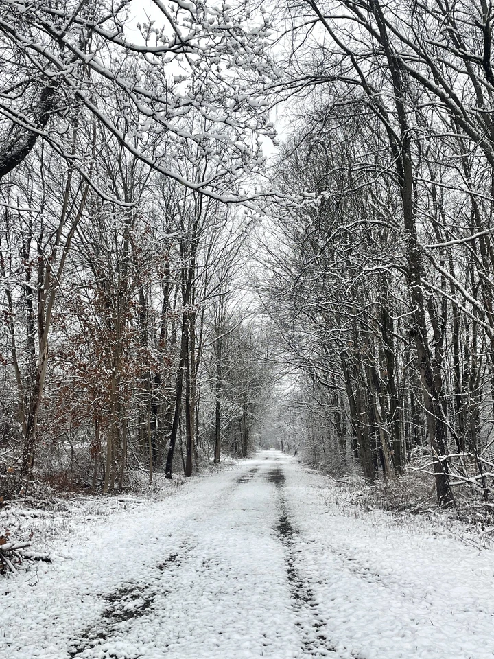 The Pat McGee Trail showing off the First snow of the season 2024